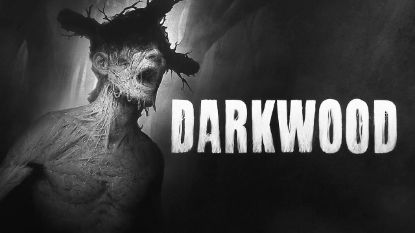  Зображення Darkwood 