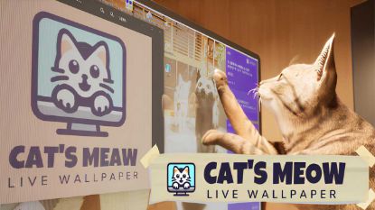  Зображення Cat's Meow Live Wallpaper 