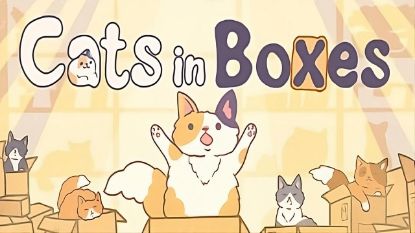  Зображення Cats in Boxes 