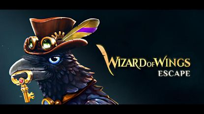  Зображення Wizard of Wings: Escape 