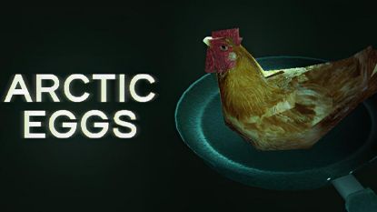  Зображення Arctic Eggs 