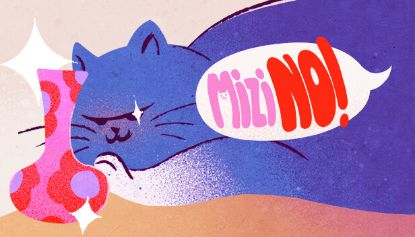  Зображення Mizi NO! 