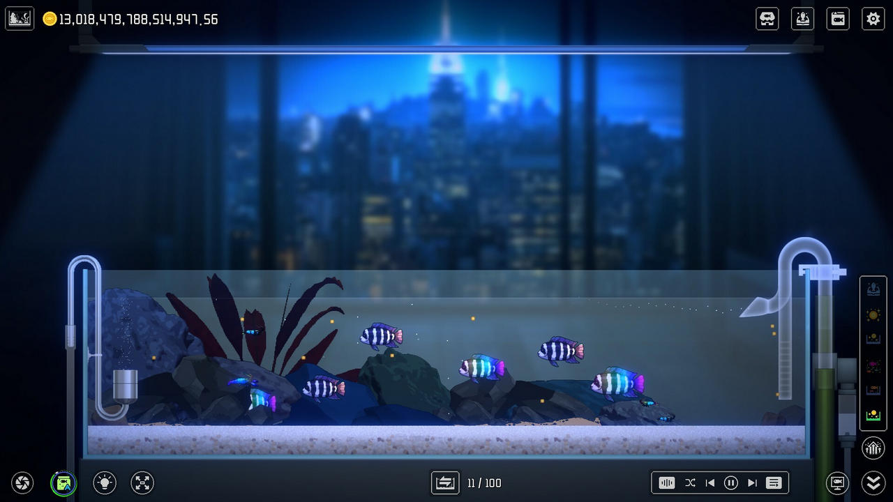  Зображення Joyquarium 