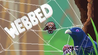  Зображення Webbed 