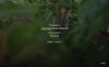  Зображення Forest Doesn’t Care 