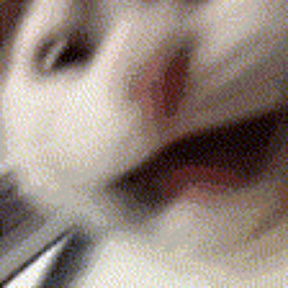 Зображення для перекладача Cactus